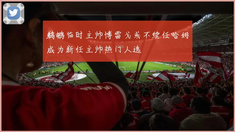 鹈鹕临时主帅博雷戈或不续任哈姆成为新任主帅热门人选