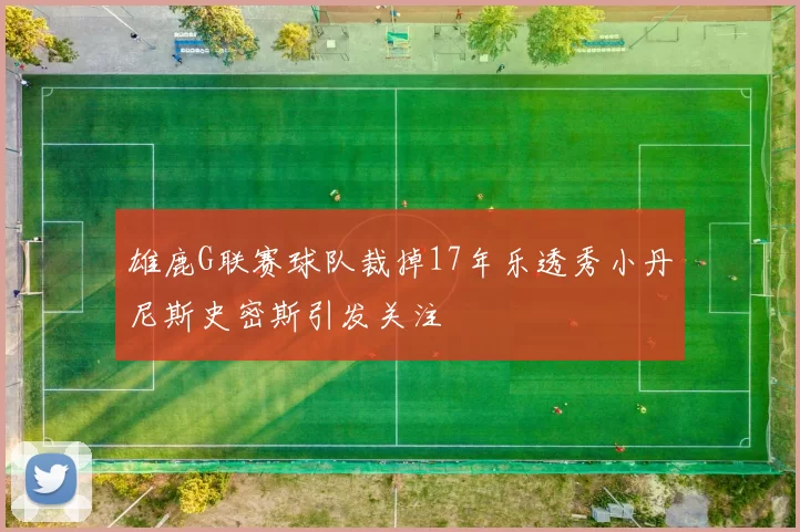 雄鹿G联赛球队裁掉17年乐透秀小丹尼斯史密斯引发关注
