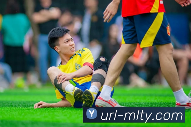 米兰体育平台生态图